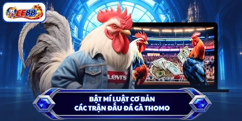 Bật mí luật cơ bản các trận đấu đá gà Thomo