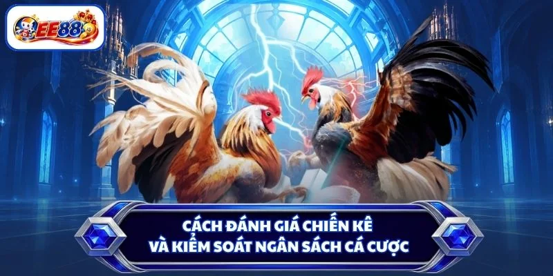 Cách đánh giá chiến kê và kiểm soát ngân sách cá cược