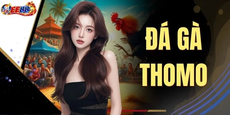 Đá Gà Thomo - Bật Mí 3 Điểm Tựa Đấu Trường Uy Tín Hàng Đầu