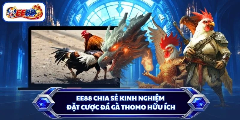 EE88 chia sẻ kinh nghiệm đặt cược đá gà Thomo hữu ích