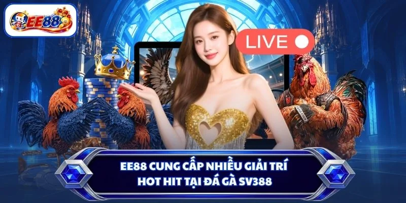 EE88 cung cấp nhiều giải trí hot hit tại đá gà SV388