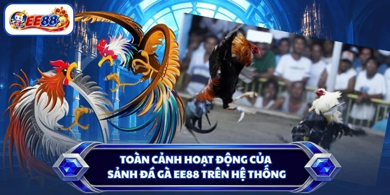 Toàn cảnh hoạt động của sảnh đá gà EE88 trên hệ thống